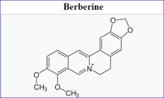 Berberine Could Treat Eczema-Exacerbated Staphylococcus aureus Infections