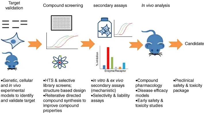 Drug discovery