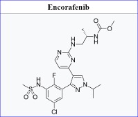 Preclinical study shows promise of systemic targeted therapy in a rare form of cancer