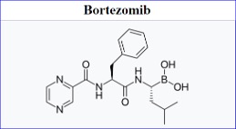 FDA approves Amneal and Shilpa’s oncology product BORUZU