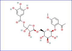 Survodutide Improves Liver Disease Progression in More than 80% of Patients with MASH