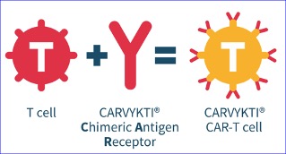 J&J and Legend’s Carvykti scores early line approval for MM by FDA