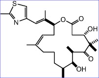 Utidelone Injectable Granted FDA Orphan Drug Designation for Breast Cancer Brain Metastasis