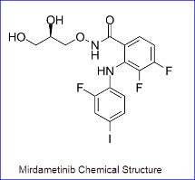 FDA Grants Priority Review to New Drug Application of Neurofibromatosis Agent Mirdametinib