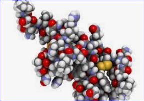 Bristol Myers Squibb announces EC approval for multiple myeloma therapy Abecma