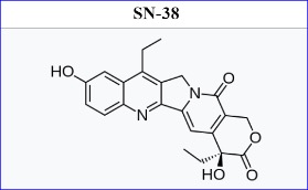 SNB-101 Receives FDA Fast Track Designation for SCLC