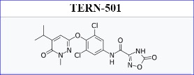 TERN-501 significantly improved the efficacy of a GLP-1 receptor agonist